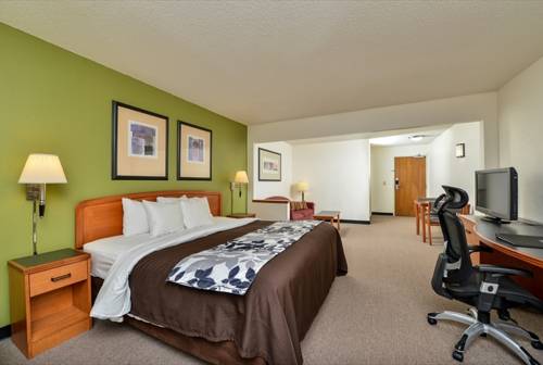 Imagen de la habitación del Hotel Sleep Inn and Suites Smyrna - Nashville. Foto 11