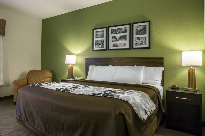 Imagen de la habitación del Hotel Sleep Inn and Suites Stockbridge Atlanta South. Foto 8