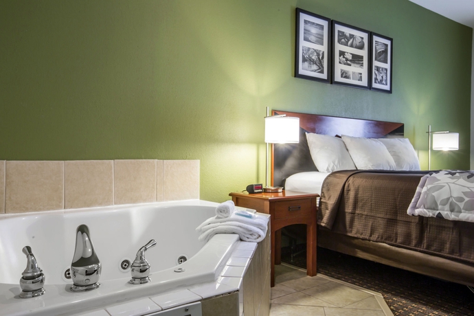Imagen de la habitación del Hotel Sleep Inn and Suites Stockbridge Atlanta South. Foto 9