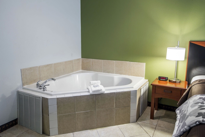 Imagen de la habitación del Hotel Sleep Inn and Suites Stockbridge Atlanta South. Foto 10