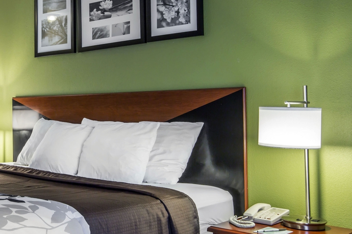 Imagen de la habitación del Hotel Sleep Inn and Suites Stockbridge Atlanta South. Foto 12
