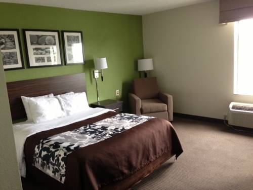 Imagen de la habitación del Hotel Sleep Inn and Suites Stony Creek - Petersburg South. Foto 2