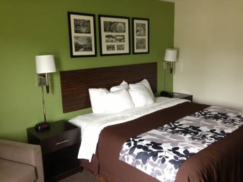 Imagen de la habitación del Hotel Sleep Inn and Suites Stony Creek - Petersburg South. Foto 3