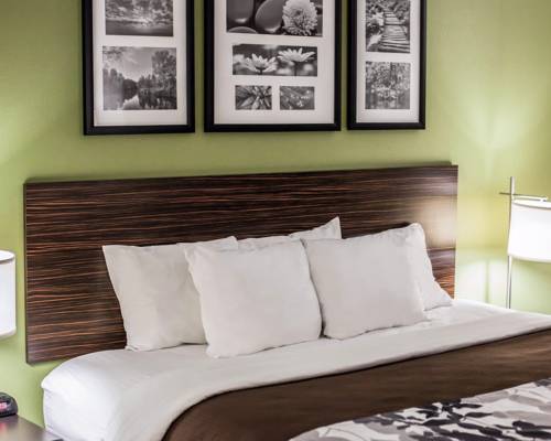 Imagen de la habitación del Hotel Sleep Inn and Suites Topeka West I-70 Wanamaker. Foto 5