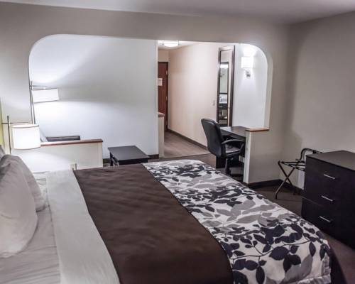 Imagen de la habitación del Hotel Sleep Inn and Suites Topeka West I-70 Wanamaker. Foto 10