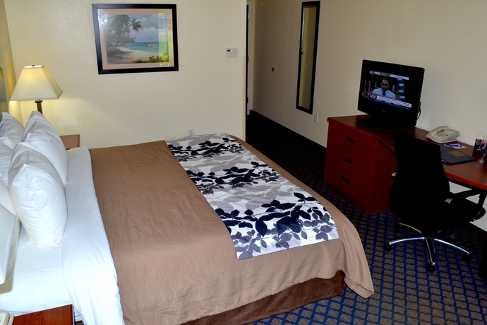 Imagen de la habitación del Hotel Sleep Inn and Suites University/shands. Foto 4