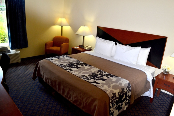 Imagen de la habitación del Hotel Sleep Inn and Suites University/shands. Foto 5