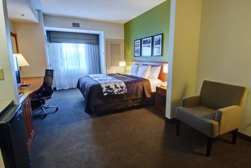 Imagen de la habitación del Hotel Sleep Inn and Suites, Winchester. Foto 8