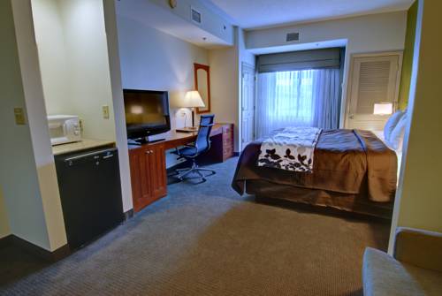 Imagen de la habitación del Hotel Sleep Inn and Suites, Winchester. Foto 9