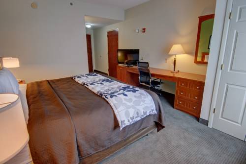 Imagen de la habitación del Hotel Sleep Inn and Suites, Winchester. Foto 10