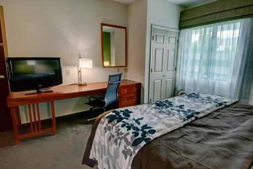 Imagen de la habitación del Hotel Sleep Inn and Suites, Winchester. Foto 14