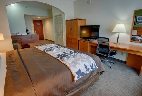 Imagen de la habitación del Hotel Sleep Inn and Suites, Winchester. Foto 16