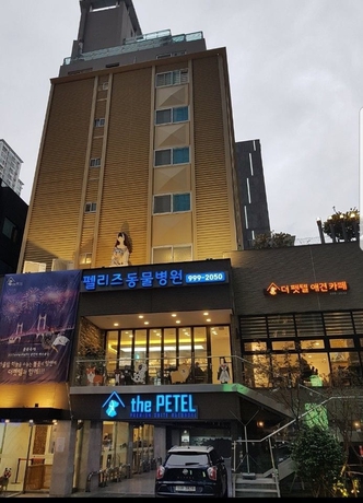 Imagen general del Hotel Sleep With Your Own Pet Only - The Petel. Foto 3