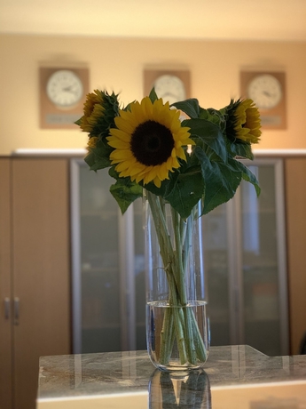 Imagen de los interiores del Hotel Sleep Wroclaw. Foto 19