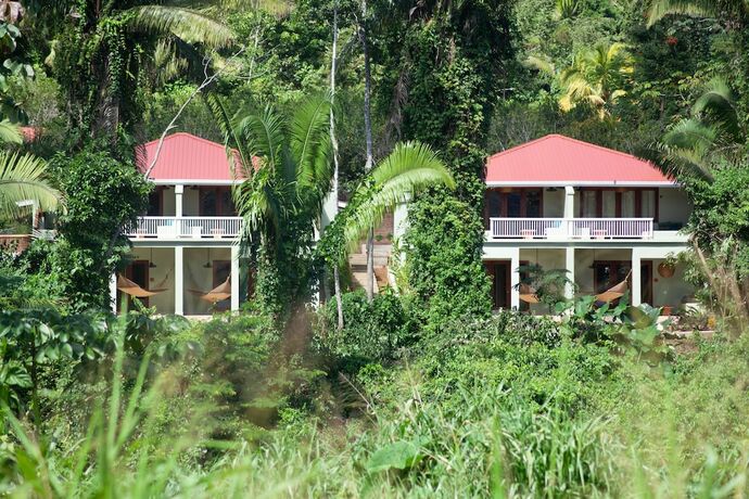 Imagen de la habitación del Hotel Sleeping Giant Rainforest Lodge. Foto 11