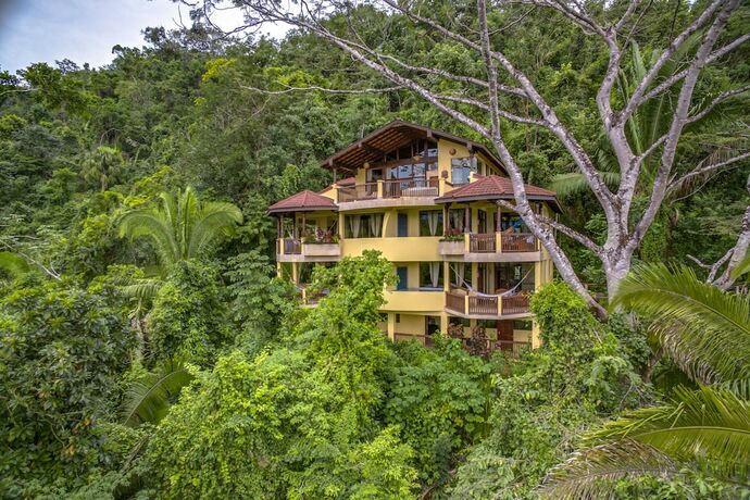 Imagen general del Hotel Sleeping Giant Rainforest Lodge. Foto 2