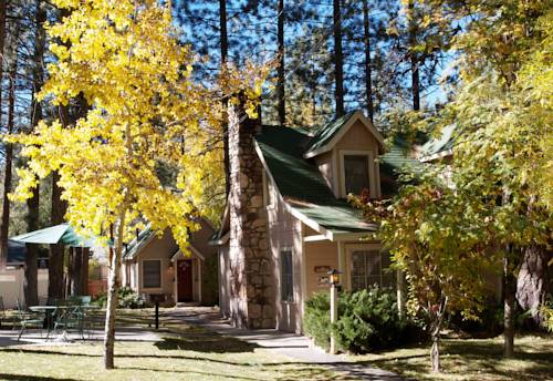 Imagen de la habitación del Hotel Sleepy Forest Cottages. Foto 2