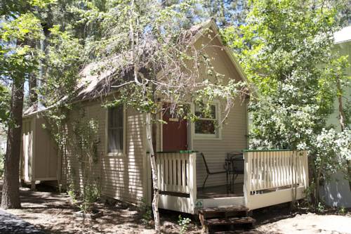 Imagen general del Hotel Sleepy Forest Cottages. Foto 1