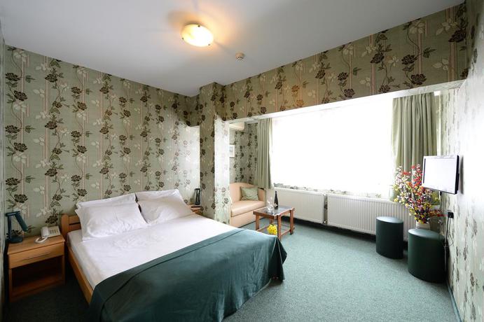 Imagen de la habitación del Hotel Slodes. Foto 6