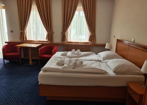 Imagen general del Hotel Slovan, Jesen&iacute;k . Foto 2