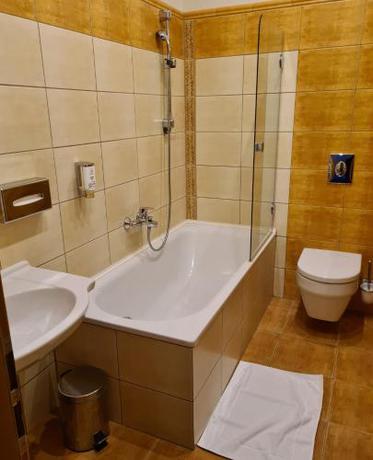 Imagen general del Hotel Slovan, Jesen&iacute;k . Foto 12