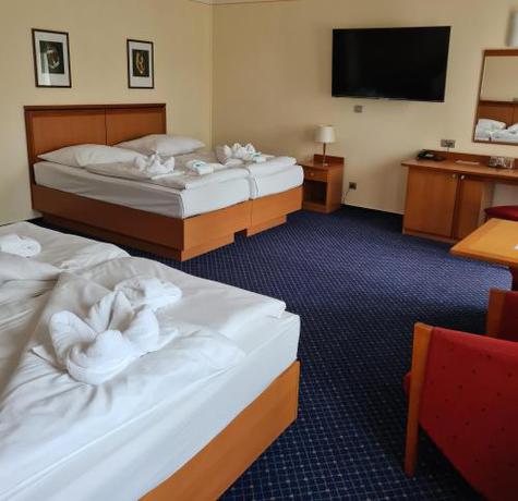 Imagen general del Hotel Slovan, Jesen&iacute;k . Foto 13