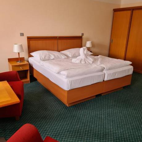 Imagen general del Hotel Slovan, Jesen&iacute;k . Foto 14