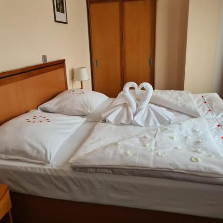 Imagen general del Hotel Slovan, Jesen&iacute;k . Foto 16