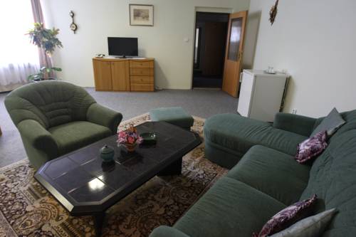 Imagen de la habitación del Hotel Slovan, PILSEN. Foto 7