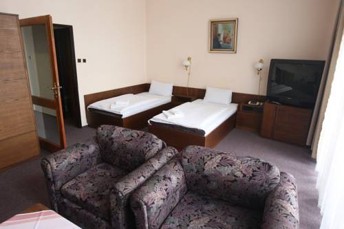 Imagen de la habitación del Hotel Slovan, PILSEN. Foto 9