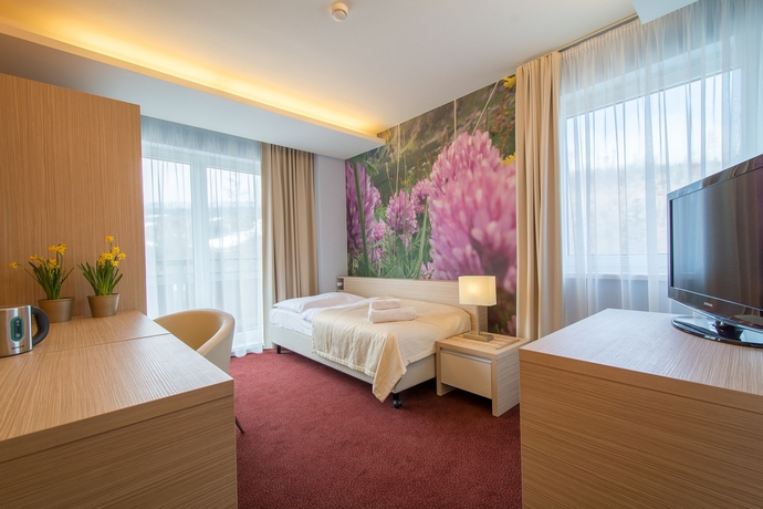 Imagen de la habitación del Hotel Slovan, Tatranska Lomnica . Foto 16