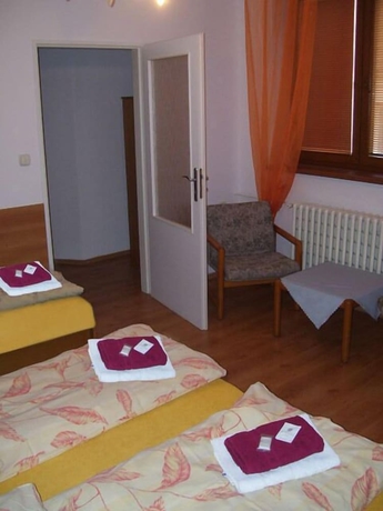 Imagen de la habitación del Hotel Slovan, Zilina. Foto 5
