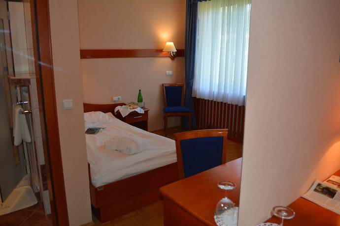 Imagen de la habitación del Hotel Slovenija. Foto 4