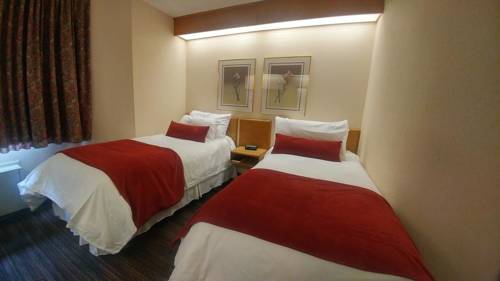 Imagen de la habitación del Hotel Slumber Inn. Foto 2