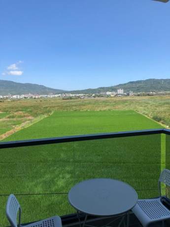 Imagen de la habitación del Hotel Small Cat Hotel. Foto 3