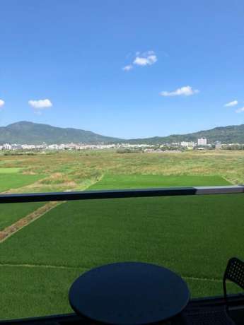 Imagen de la habitación del Hotel Small Cat Hotel. Foto 10