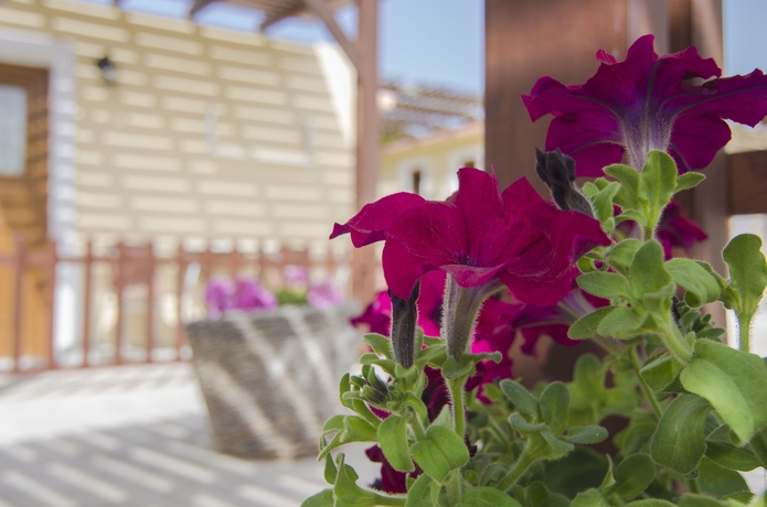 Imagen de los exteriores del Hotel Smaragdi. Foto 13