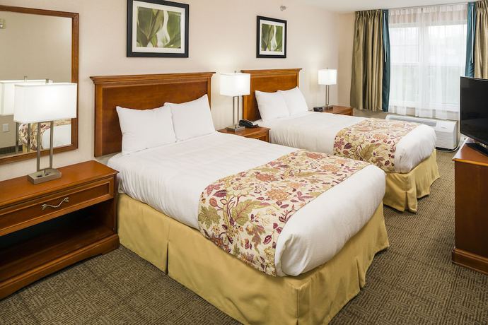 Imagen de la habitación del Hotel Smart Suites, Ascend Collection. Foto 3