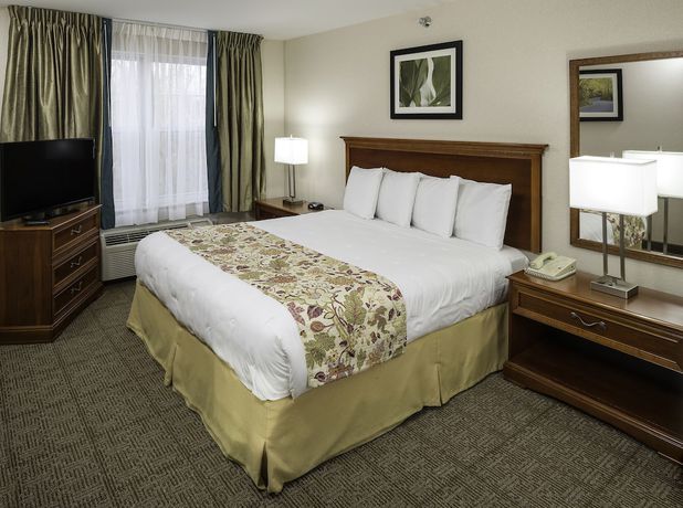 Imagen de la habitación del Hotel Smart Suites, Ascend Collection. Foto 7