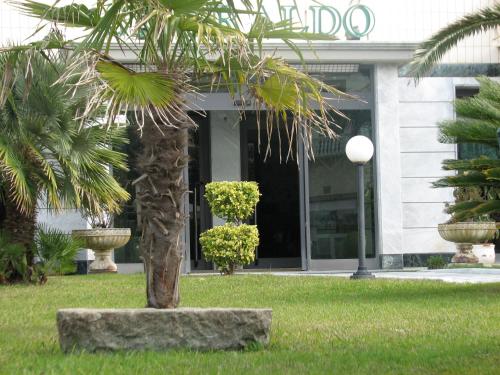 Imagen de la habitación del Hotel Smeraldo, Lido Di Camaiore. Foto 9