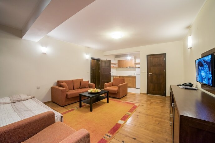 Imagen general del Hotel Smilen and Wellness. Foto 5