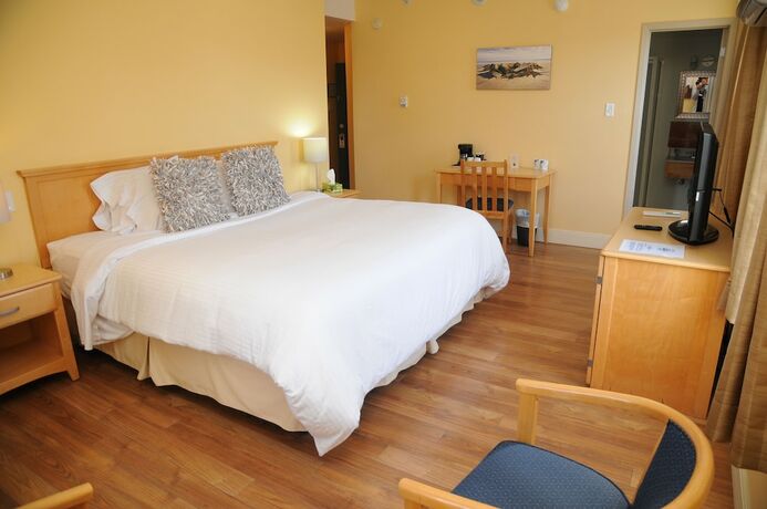 Imagen de la habitación del Hotel Smugglers Cove Inn. Foto 17