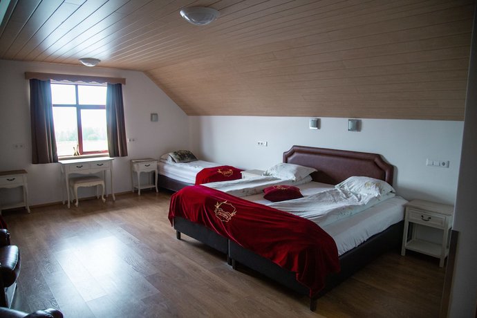 Imagen de la habitación del Hotel Smyrlabjorg. Foto 11