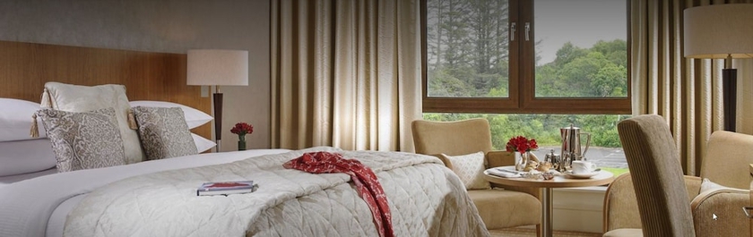 Imagen de la habitación del Hotel Sneem. Foto 8