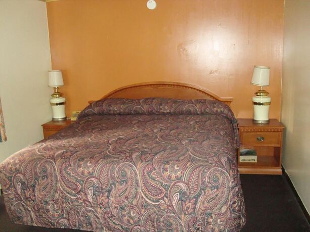 Imagen general del Hotel Snelling Motel. Foto 14