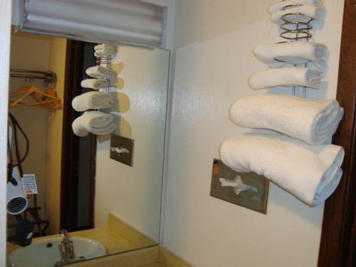 Imagen general del Hotel Snelling Motor Inn. Foto 1