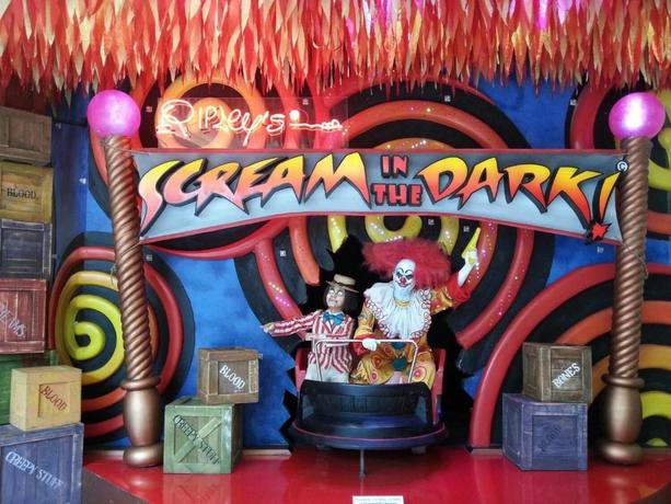 Imagen del bar/restaurante del Hotel Snoozzotel. Foto 8