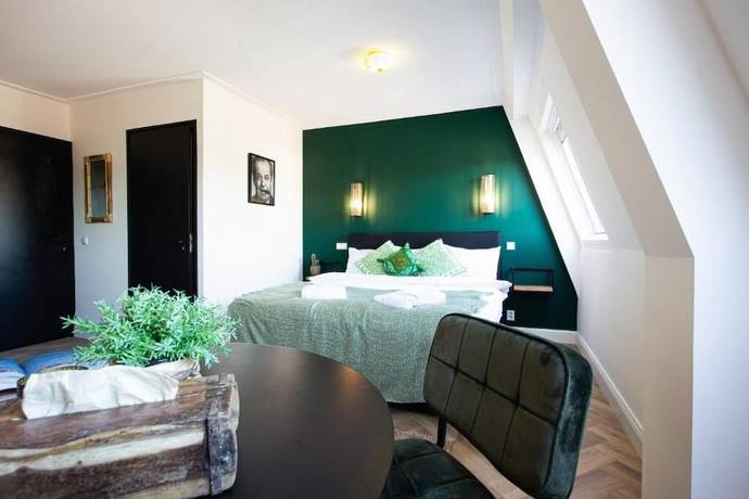Imagen de la habitación del Hotel Snouck van Loosen. Foto 13