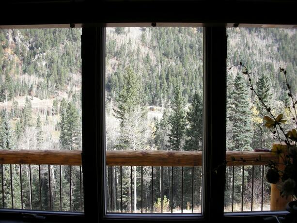 Imagen general del Hotel Snow Bear Inn. Foto 12