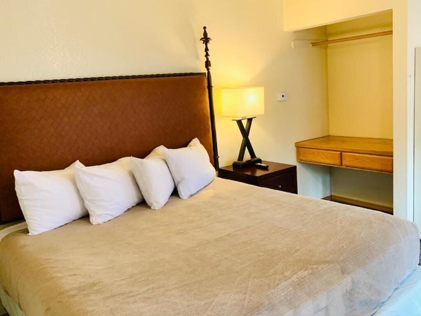 Imagen de la habitación del Hotel Snow Bear Lodge. Foto 14